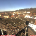 12_15-nest.jpg
