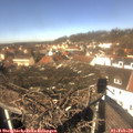 12_20-nest.jpg