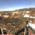 12_25-nest.jpg