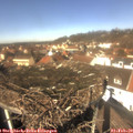 12_30-nest.jpg