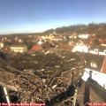 12_35-nest.jpg