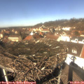 12_40-nest.jpg