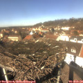 12_45-nest.jpg
