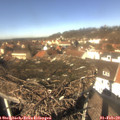 12_50-nest.jpg