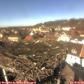 13_00-nest.jpg