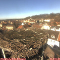 13_05-nest.jpg