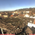 13_10-nest.jpg