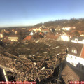 13_15-nest.jpg