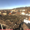 13_20-nest.jpg