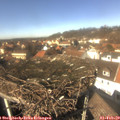 13_25-nest.jpg