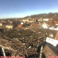 13_35-nest.jpg