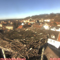 13_40-nest.jpg