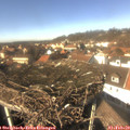 13_50-nest.jpg