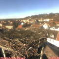 13_55-nest.jpg