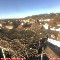 14_05-nest.jpg