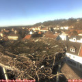 14_15-nest.jpg
