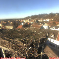 14_20-nest.jpg