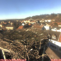 14_25-nest.jpg