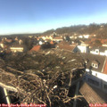 14_30-nest.jpg