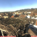 14_40-nest.jpg