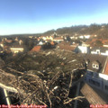 14_45-nest.jpg
