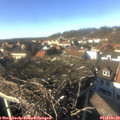 14_50-nest.jpg