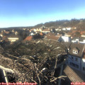 14_55-nest.jpg