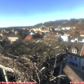 15_00-nest.jpg