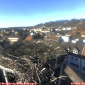 15_10-nest.jpg