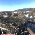 15_20-nest.jpg