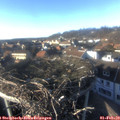 15_50-nest.jpg