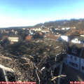 15_55-nest.jpg