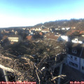 16_05-nest.jpg