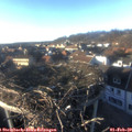 16_15-nest.jpg
