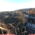 16_45-nest.jpg