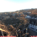 16_50-nest.jpg