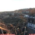 17_00-nest.jpg