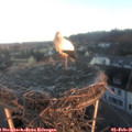 08_00-nest.jpg
