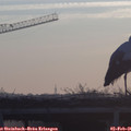 08_05-mast.jpg