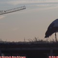 08_10-mast.jpg