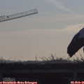 08_20-mast.jpg