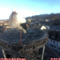08_20-nest.jpg