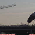 08_25-mast.jpg