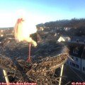 08_25-nest.jpg