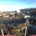 08_35-nest.jpg