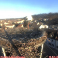 08_40-nest.jpg