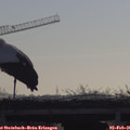 08_50-mast.jpg