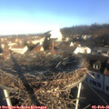 08_50-nest.jpg