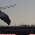 08_55-mast.jpg