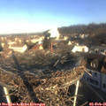 08_55-nest.jpg
